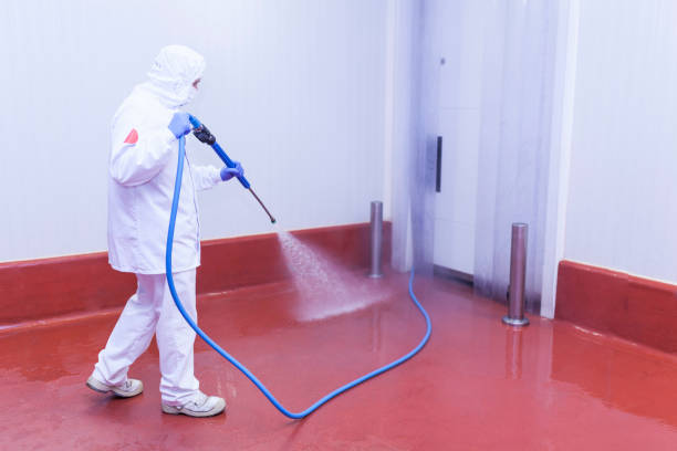 Best Dumpster Area Cleaning  in West Wood, UT